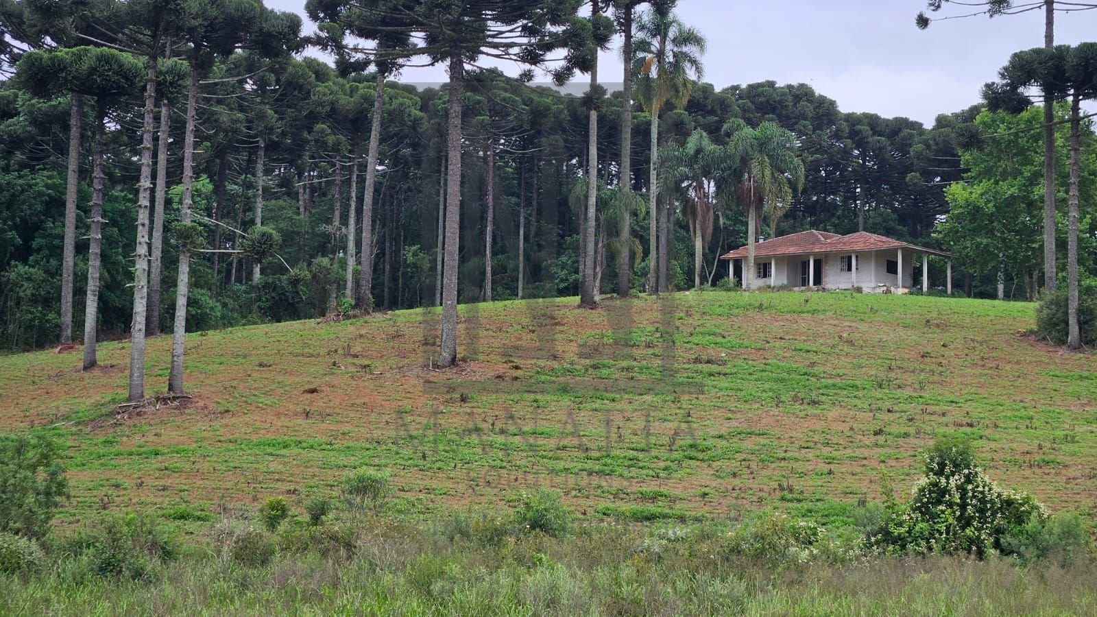 Fazenda com 3 dormitórios à venda, 1694000 m  por R  24.500.00...