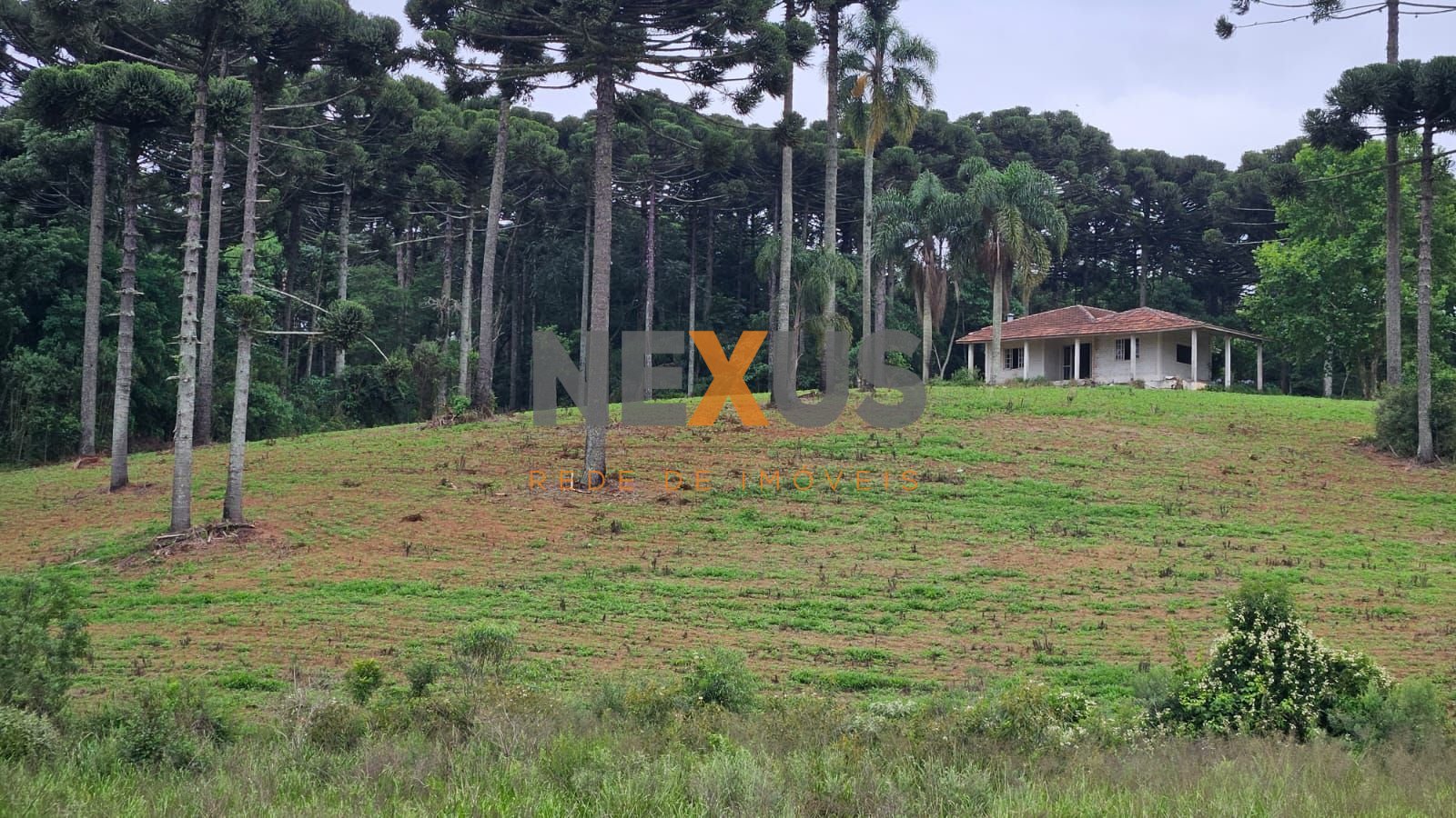 Fazenda com 3 dormitórios à venda, 1694000 m  por R  24.500.00...