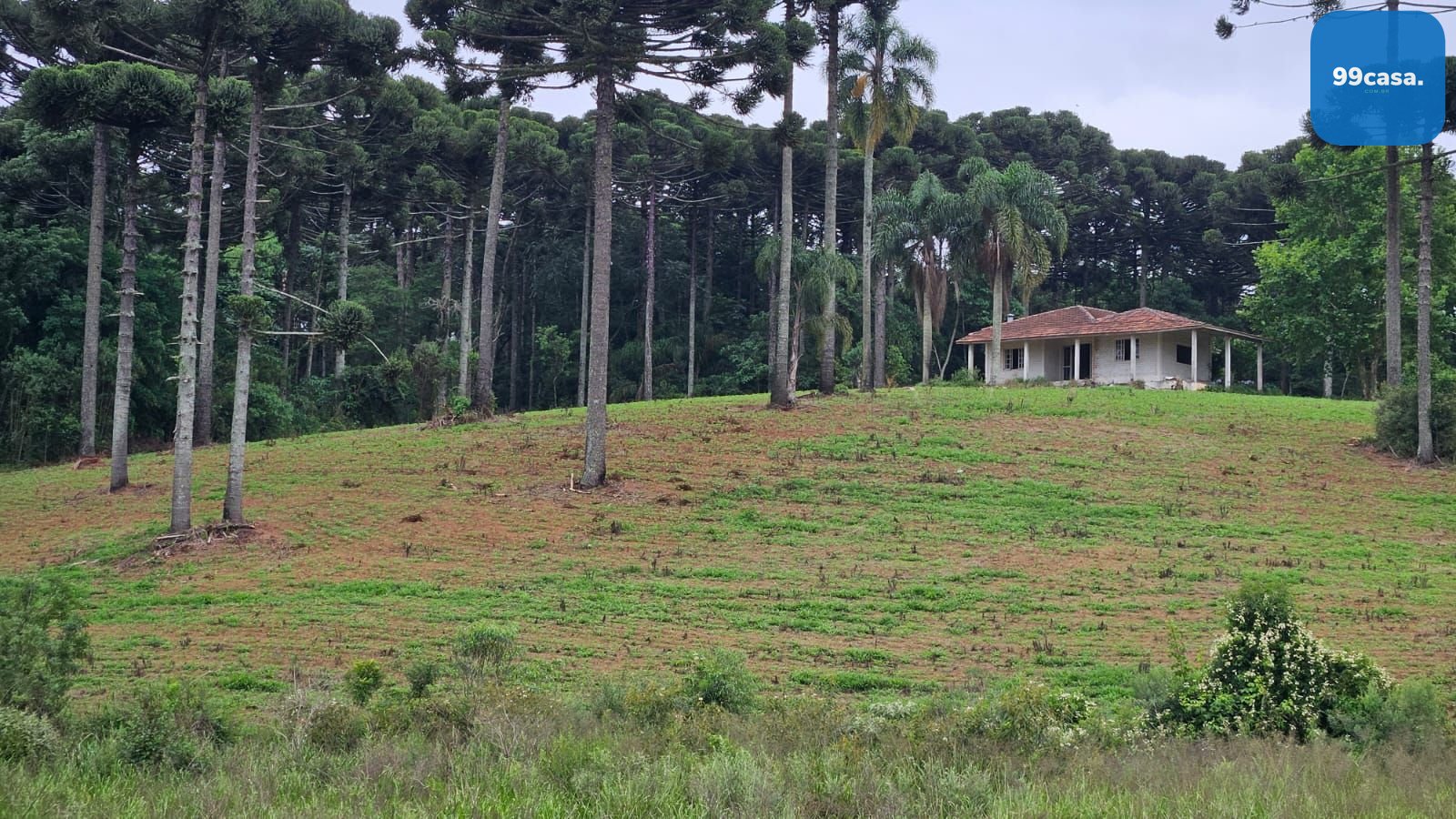 Fazenda com 70 alqueires, casa, rio e lago a 8 km da BR-476  A...