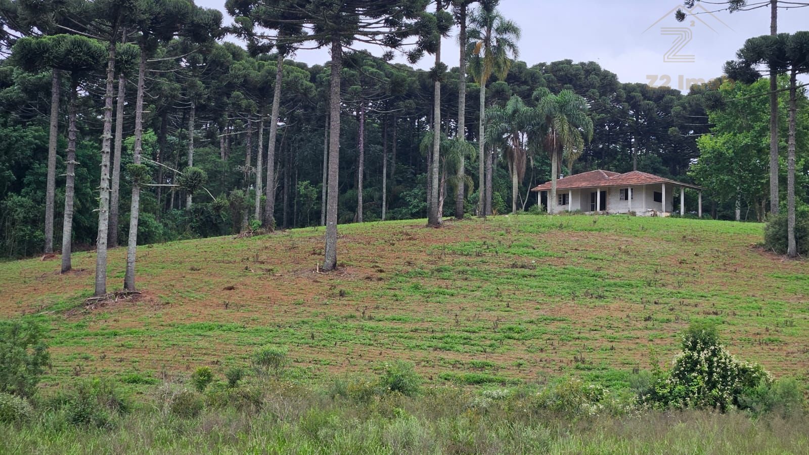 Fazenda com 3 dormitórios à venda, 1694000 m  por R  24.500.00...