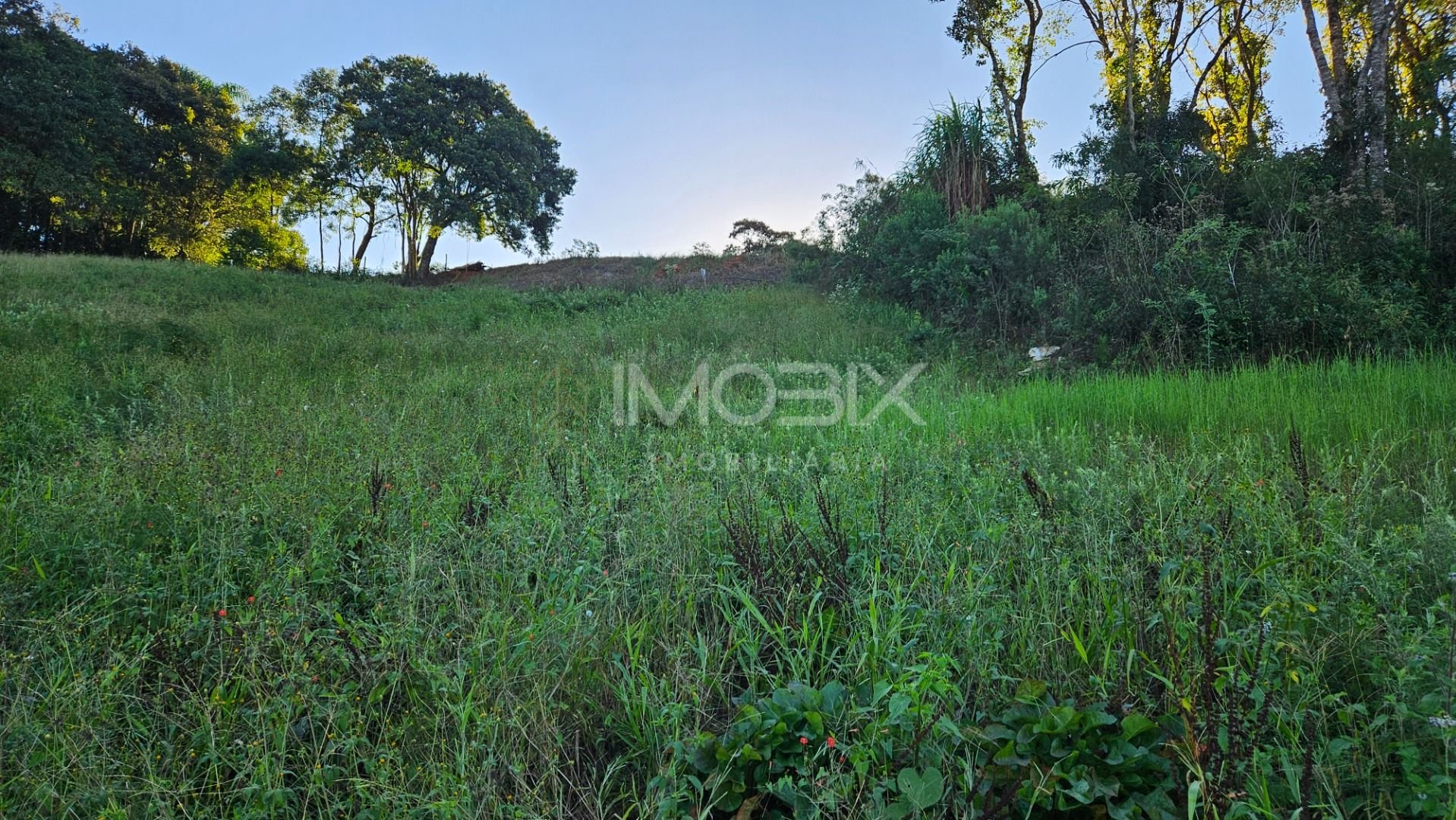 Chácara à venda, 10975 m  frente para o asfalto por R  450.000...