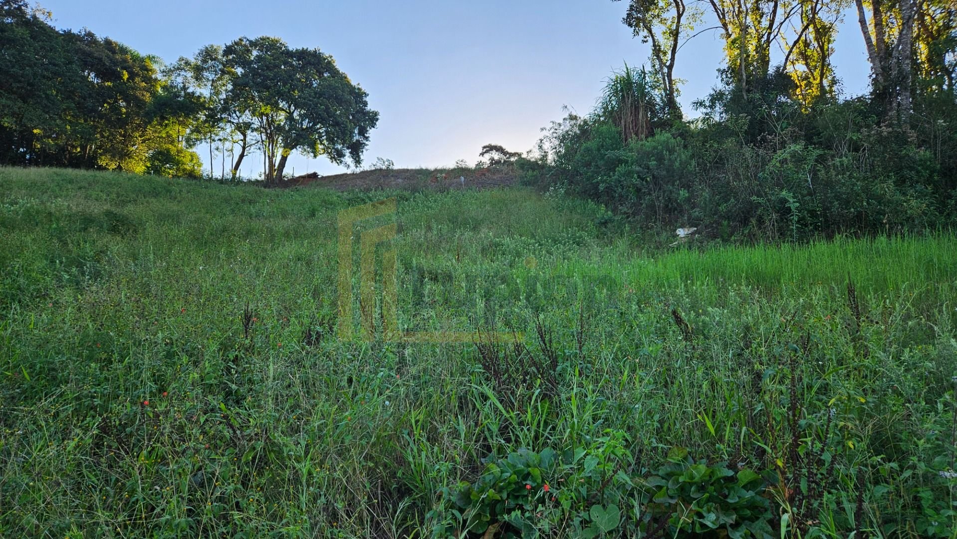 Chácara 10.500m  em Araucária com bosque, área de plantio e vi...