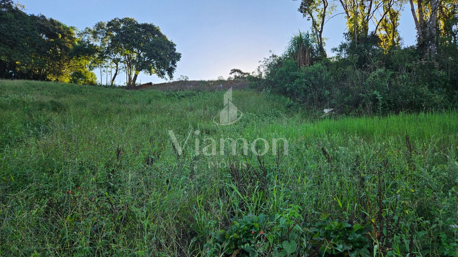 Chácara à venda, 10975 m  frente para o asfalto por R  450.000...