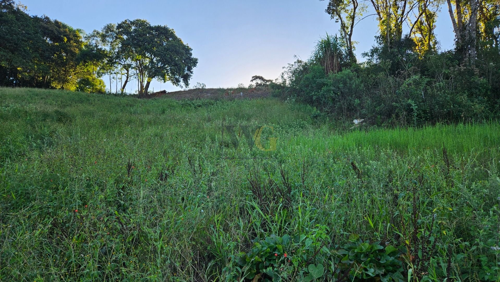Chácara 10.500m  em Araucária com bosque, área de plantio e vi...