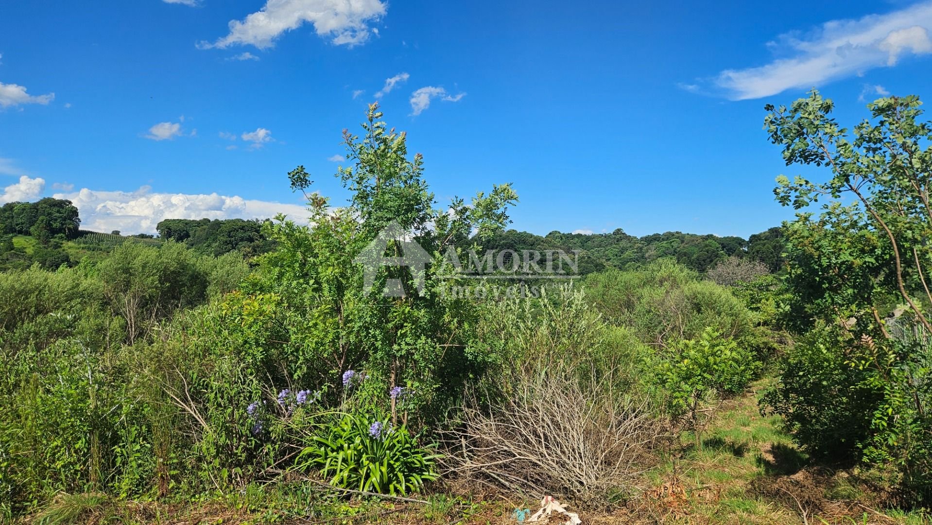 Chácara à venda, 7000 m  por R  255.000,00 - Zona Rural - Cont...