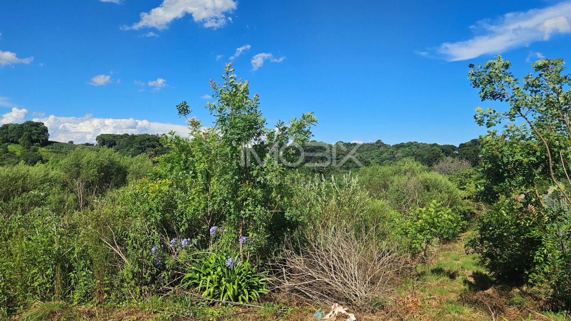 Chácara à venda, 7000 m  por R  255.000,00 - Zona Rural - Cont...