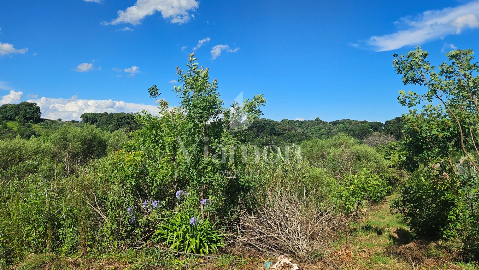 Chácara à venda, 7000 m  por R  255.000,00 - Zona Rural - Cont...