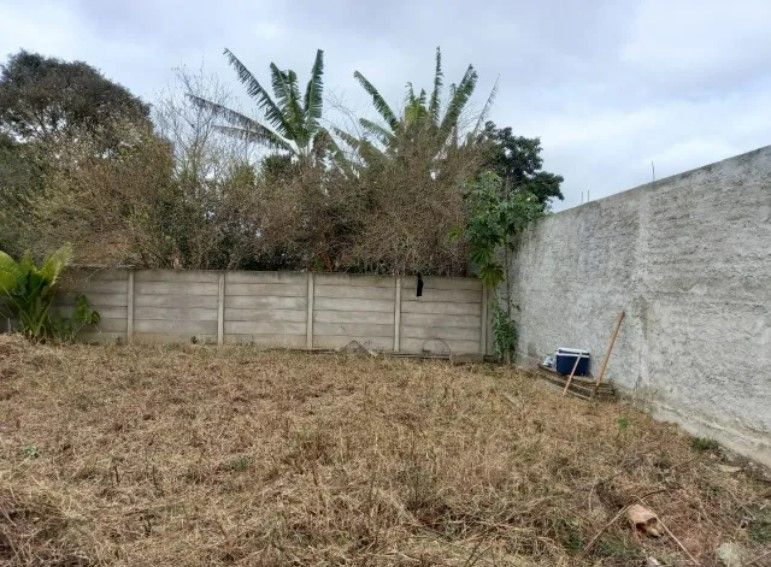 Lote Plano e Murado de 15x50m no Atuba  Pronto para Construir