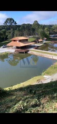 Chácara com 1 dormitório à venda, 24200 m  por R  2.950.000,00...