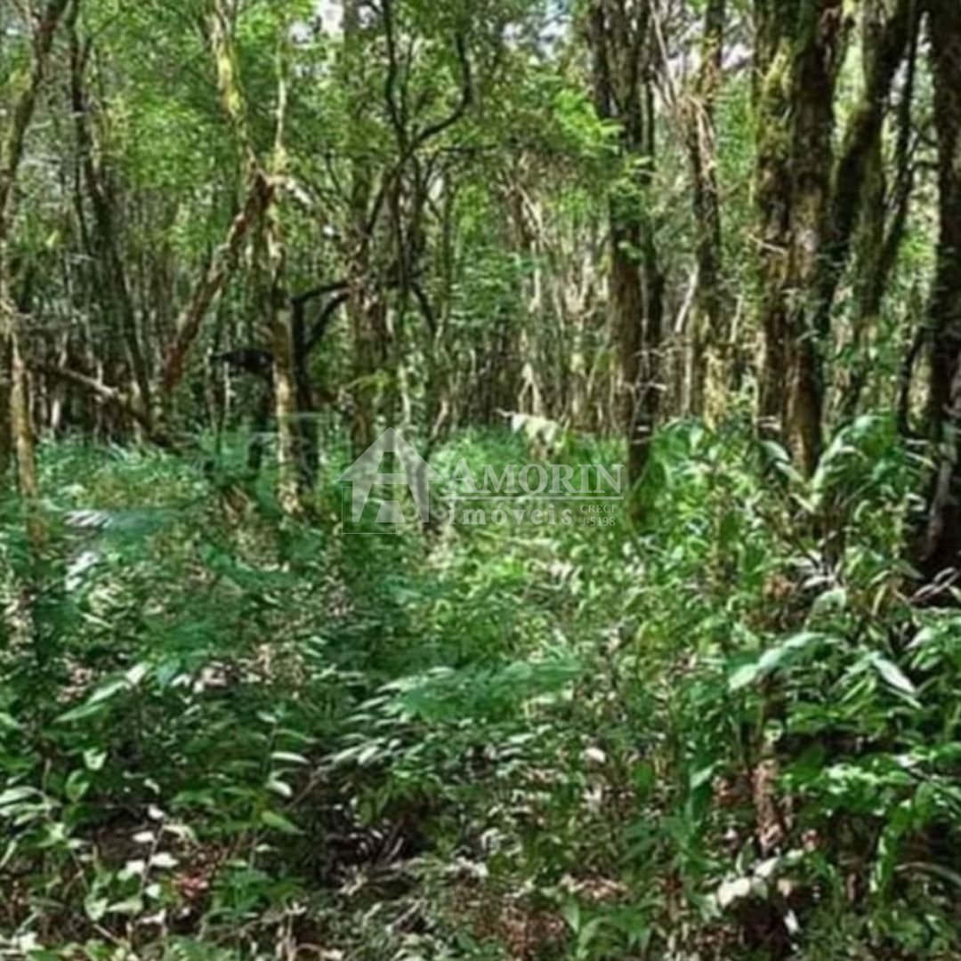 Chácara à venda, 7000 m  por R  255.000,00 - Zona Rural - Cont...