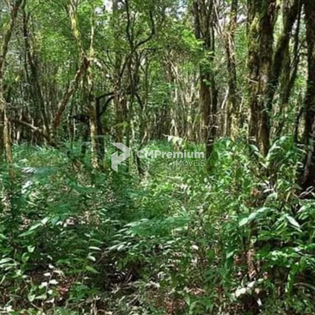 Chácara à venda, 7000 m  por R  255.000,00 - Zona Rural - Cont...