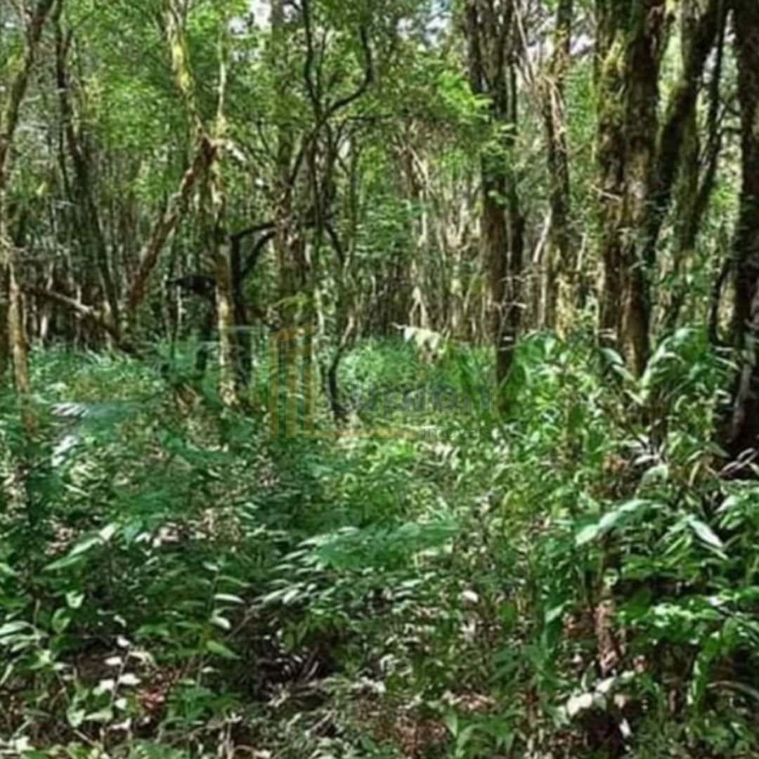 Área de 7.000m  em Contenda  Refúgio com Bosque, Córrego e Nat...