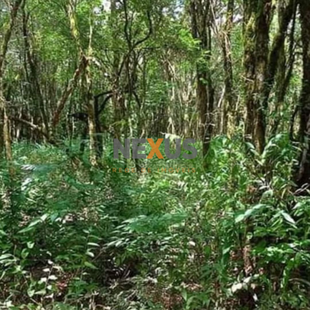 Chácara à venda, 7000 m  por R  255.000,00 - Zona Rural - Cont...