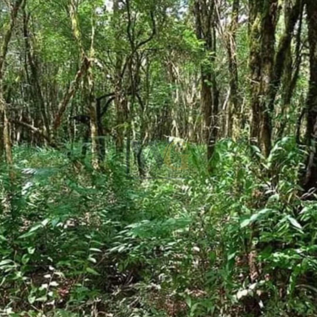 Chácara à venda, 7000 m  por R  255.000,00 - Zona Rural - Cont...