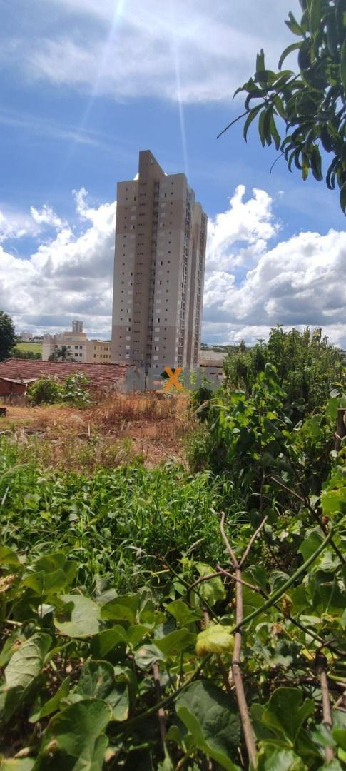 Terreno à venda, 504 m² por R$ 450.000,00 - Vila Marumby - Mar...