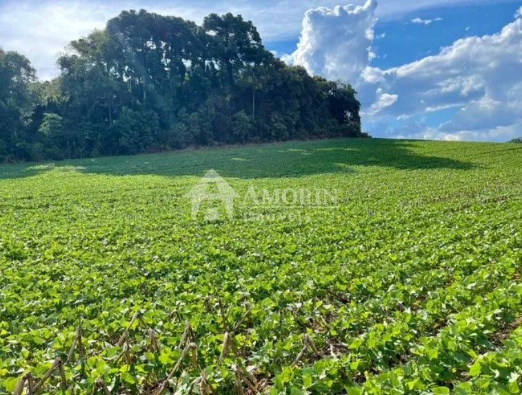 Chácara à venda, 23600 m  por R  649.000,00 - Barigui - Araucá...