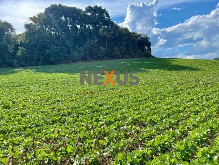 Chácara à venda, 23600 m  por R  649.000,00 - Barigui - Araucá...