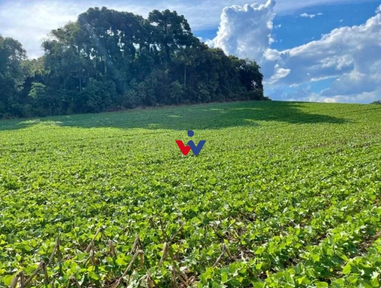 Chácara à venda, 23600 m  por R  649.000,00 - Barigui - Araucá...