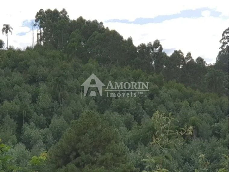 Chácara com 2 dormitórios à venda, 48400 m  por R  635.000,00 ...