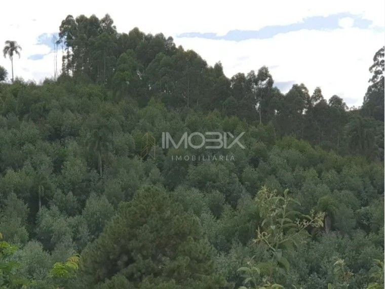 Chácara com 2 dormitórios à venda, 48400 m  por R  635.000,00 ...