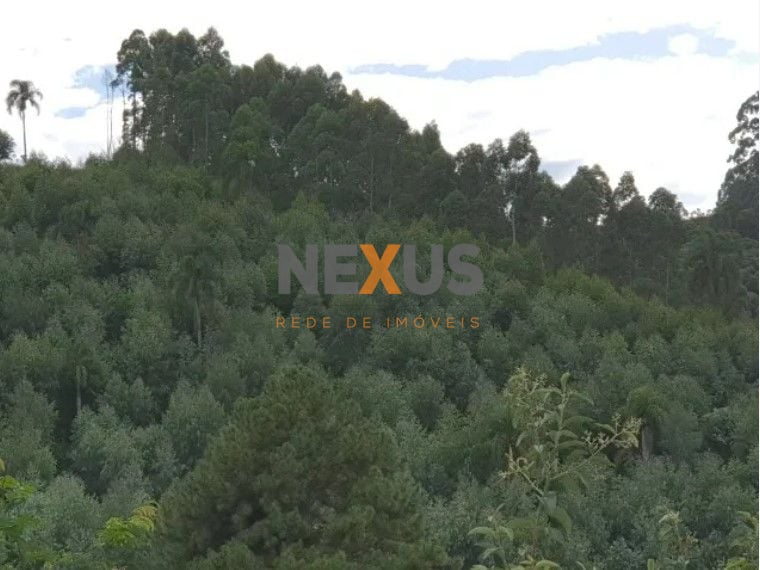 Chácara com 2 dormitórios à venda, 48400 m  por R  635.000,00 ...
