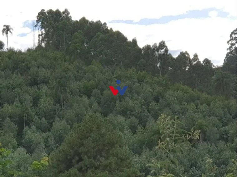 Chácara com 2 dormitórios à venda, 48400 m  por R  635.000,00 ...