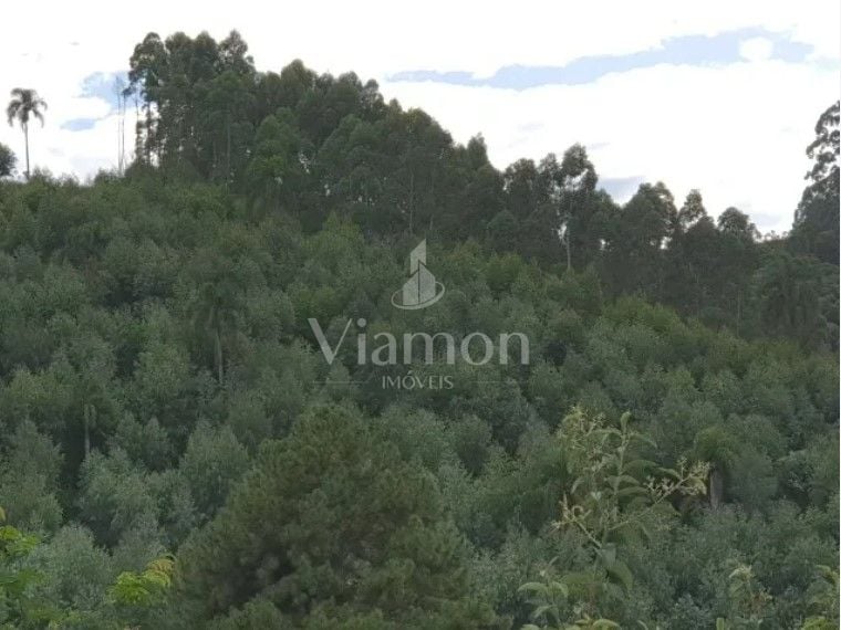 Chácara com 2 dormitórios à venda, 48400 m  por R  635.000,00 ...
