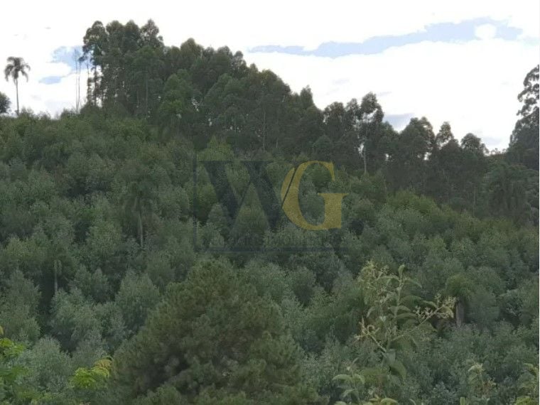 Chácara com 2 dormitórios à venda, 48400 m  por R  635.000,00 ...