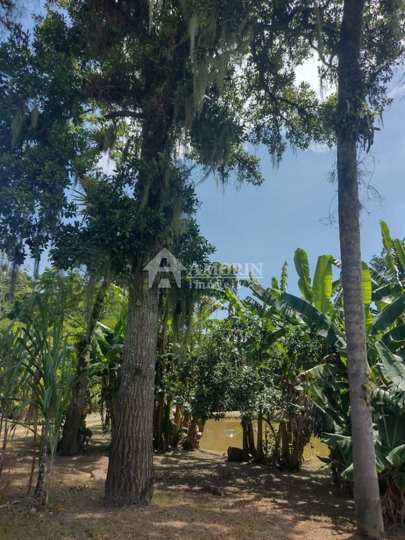 Chácara com 2 dormitórios à venda, 1820 m  por R  225.000,00 -...