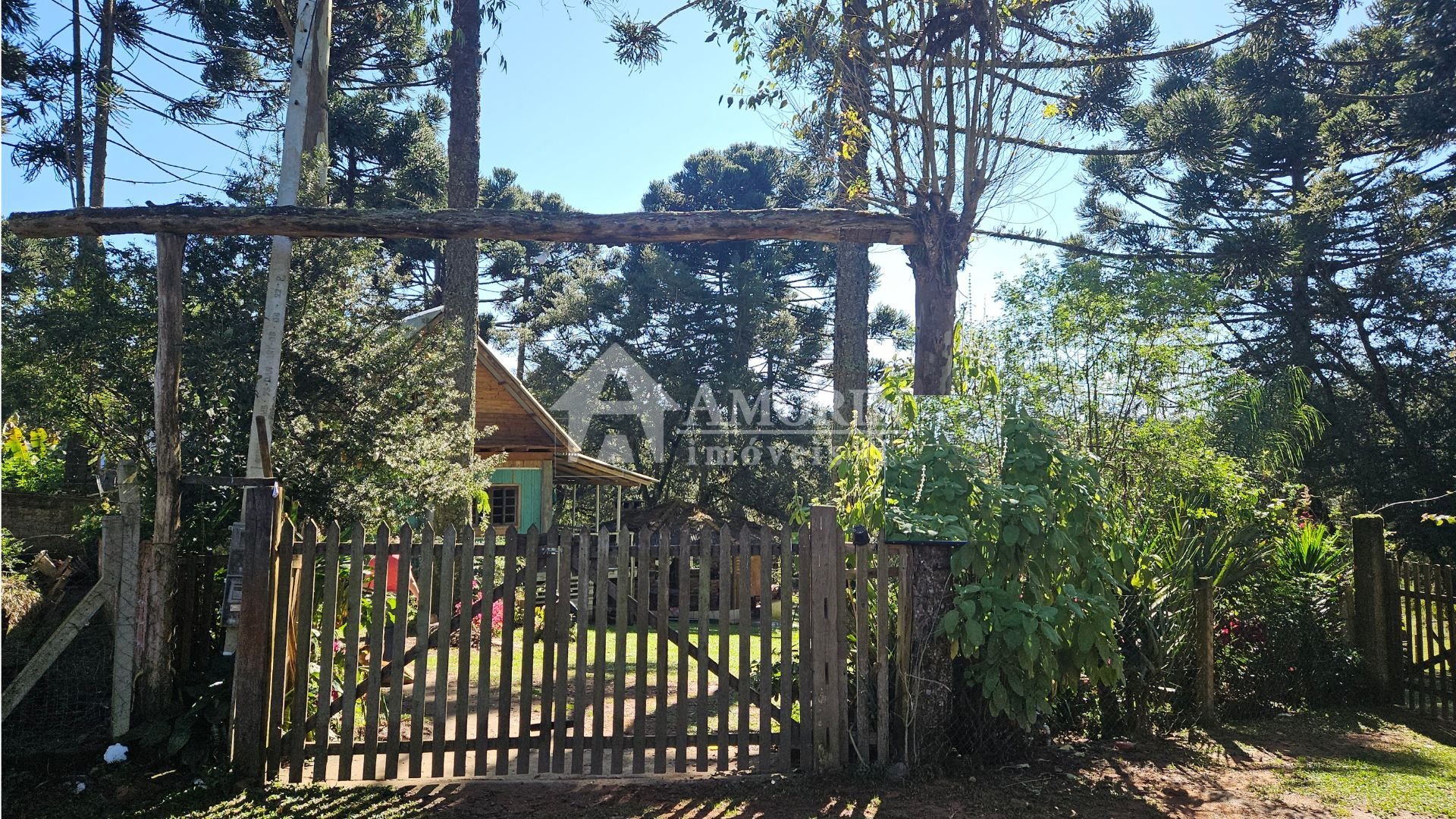 Chácara com 4 dormitórios à venda, 3400 m  por R  394.000 -Col...