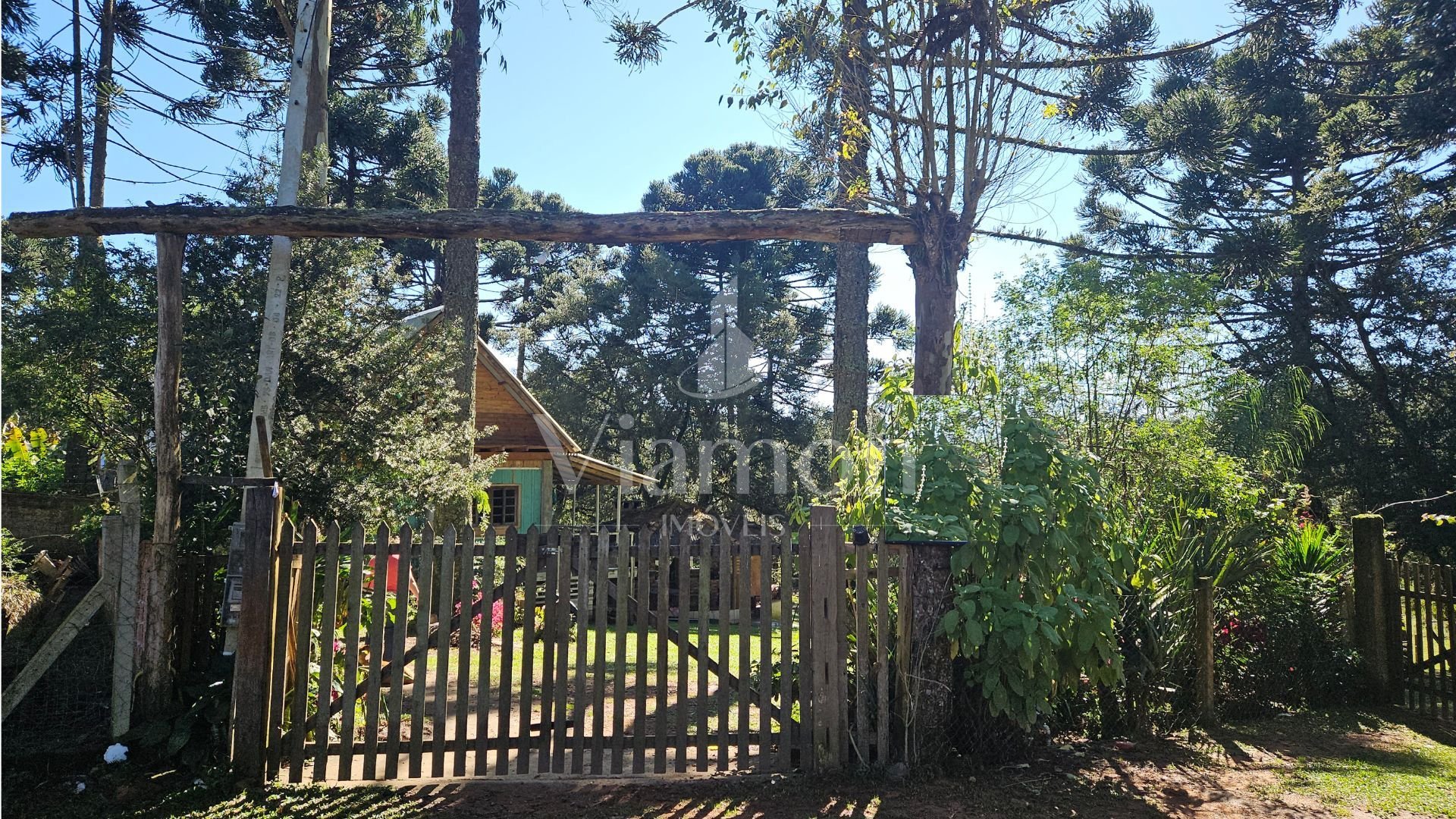 Chácara com 4 dormitórios à venda, 3400 m  por R  394.000 -Col...