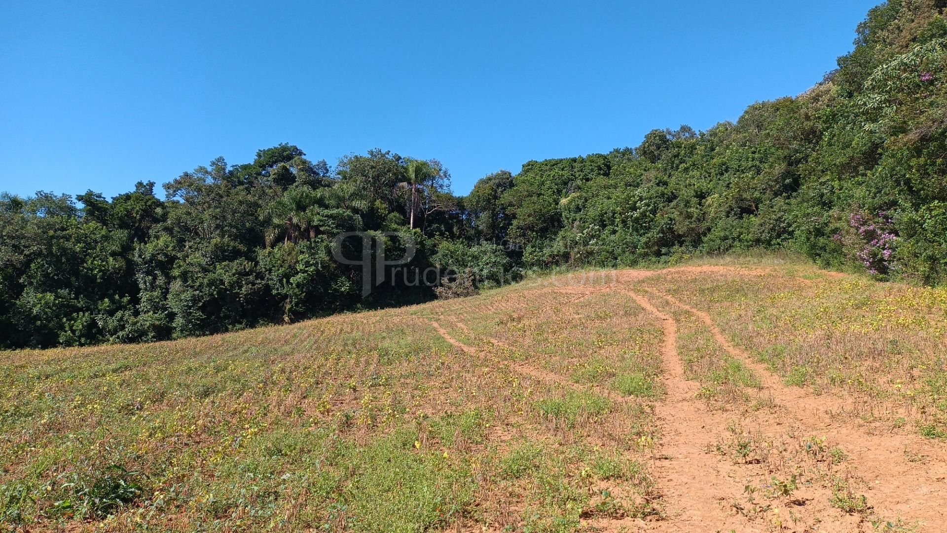 Chácara à Venda em Araucária  Terreno de 23.480 m  com Naturez...