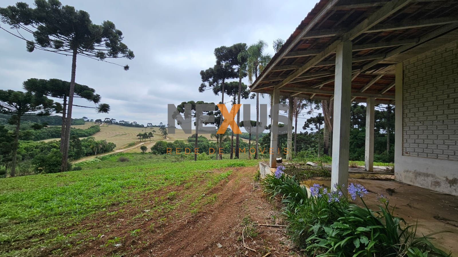Fazenda com 3 dormitórios à venda, 1694000 m  por R  24.500.00...