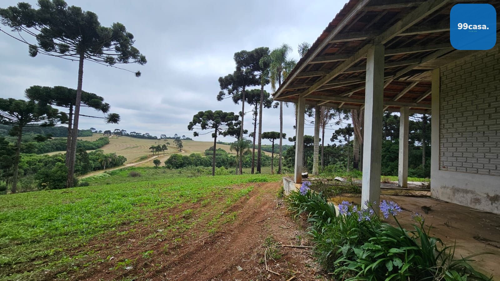 Fazenda com 70 alqueires, casa, rio e lago a 8 km da BR-476  A...