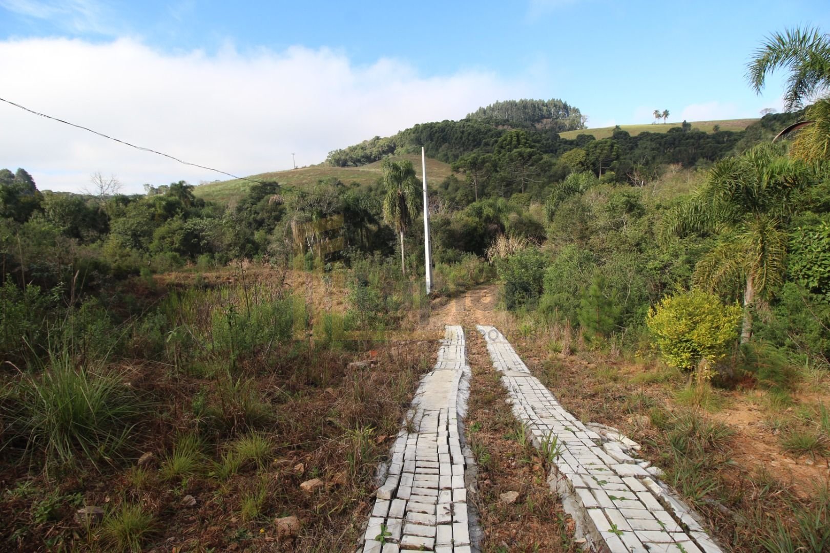 Chácara com Casa, Água Mineral e Amplo Pátio  Quitandinha Lapa