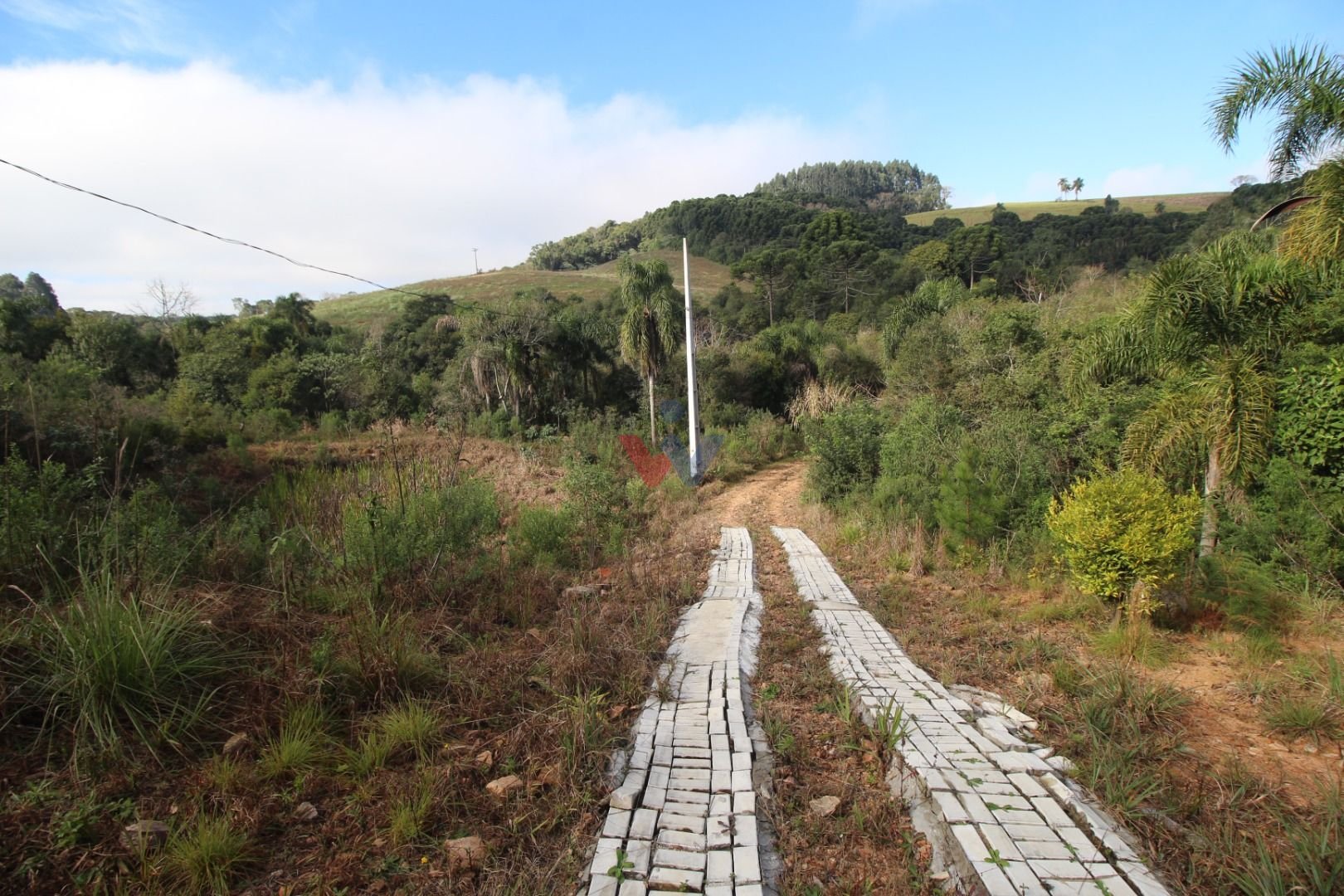 Chácara com Casa, Água Mineral e Amplo Pátio  Quitandinha Lapa