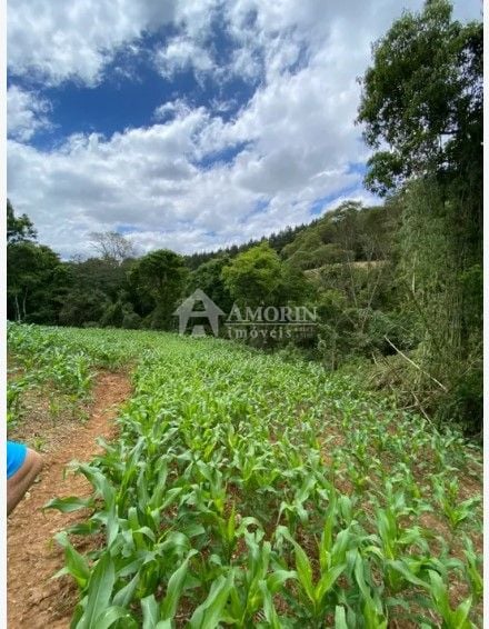 Chácara à venda, 94682 m  por R  1.350.000,00 - Zona Rural - T...