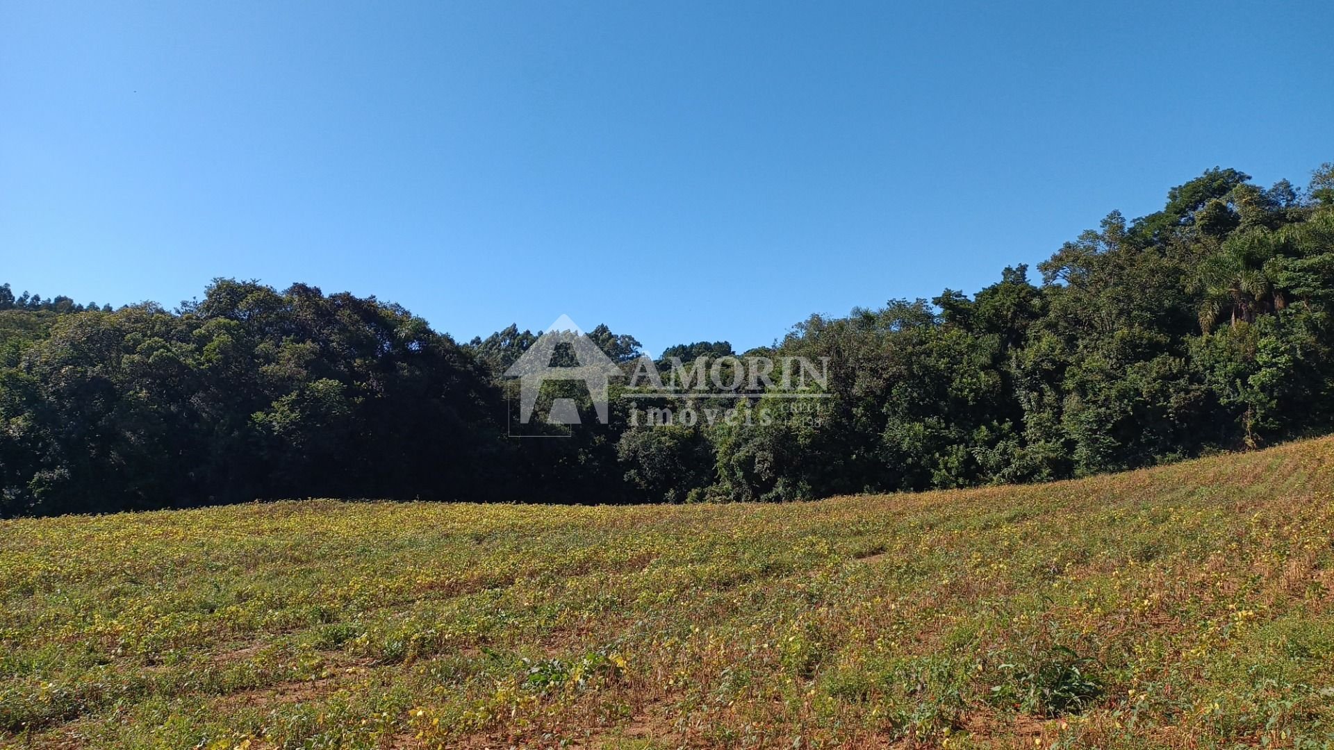 Chácara à venda, 23482 m  por R  500.000,00 - Zona Rural - Ara...