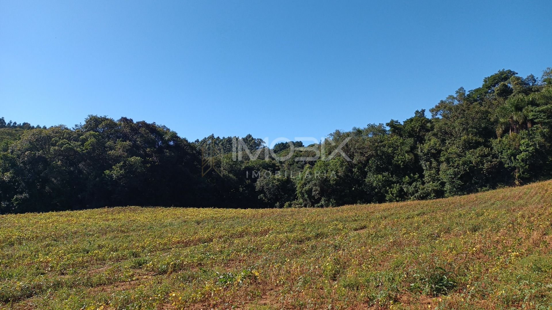 Chácara à venda, 23482 m  por R  500.000,00 - Zona Rural - Ara...