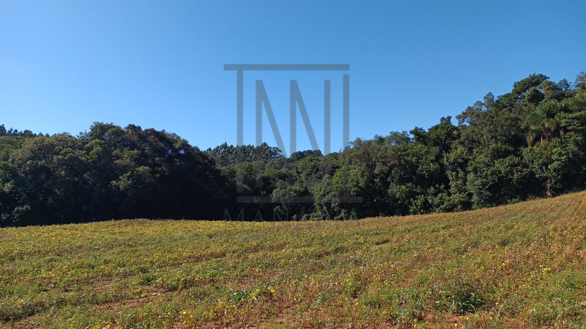 Chácara à venda, 23482 m  por R  500.000,00 - Zona Rural - Ara...