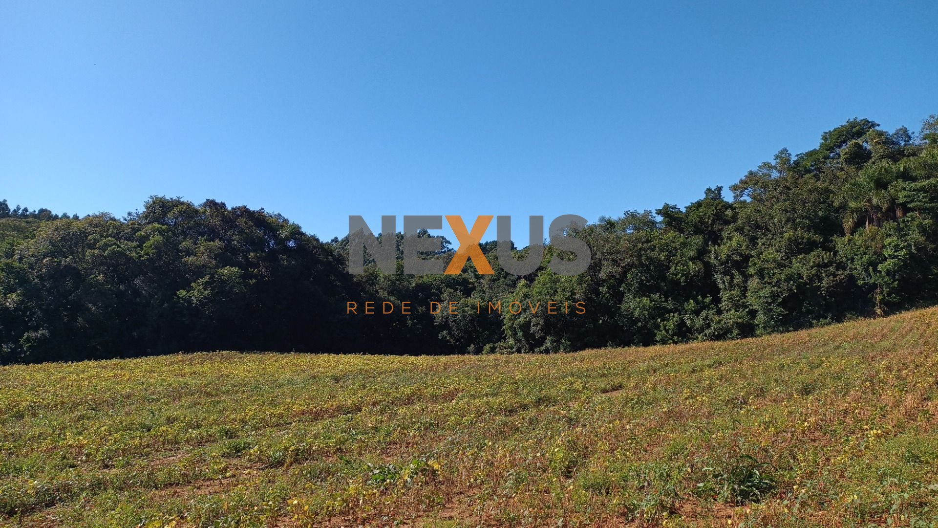 Chácara à venda, 23482 m  por R  500.000,00 - Zona Rural - Ara...