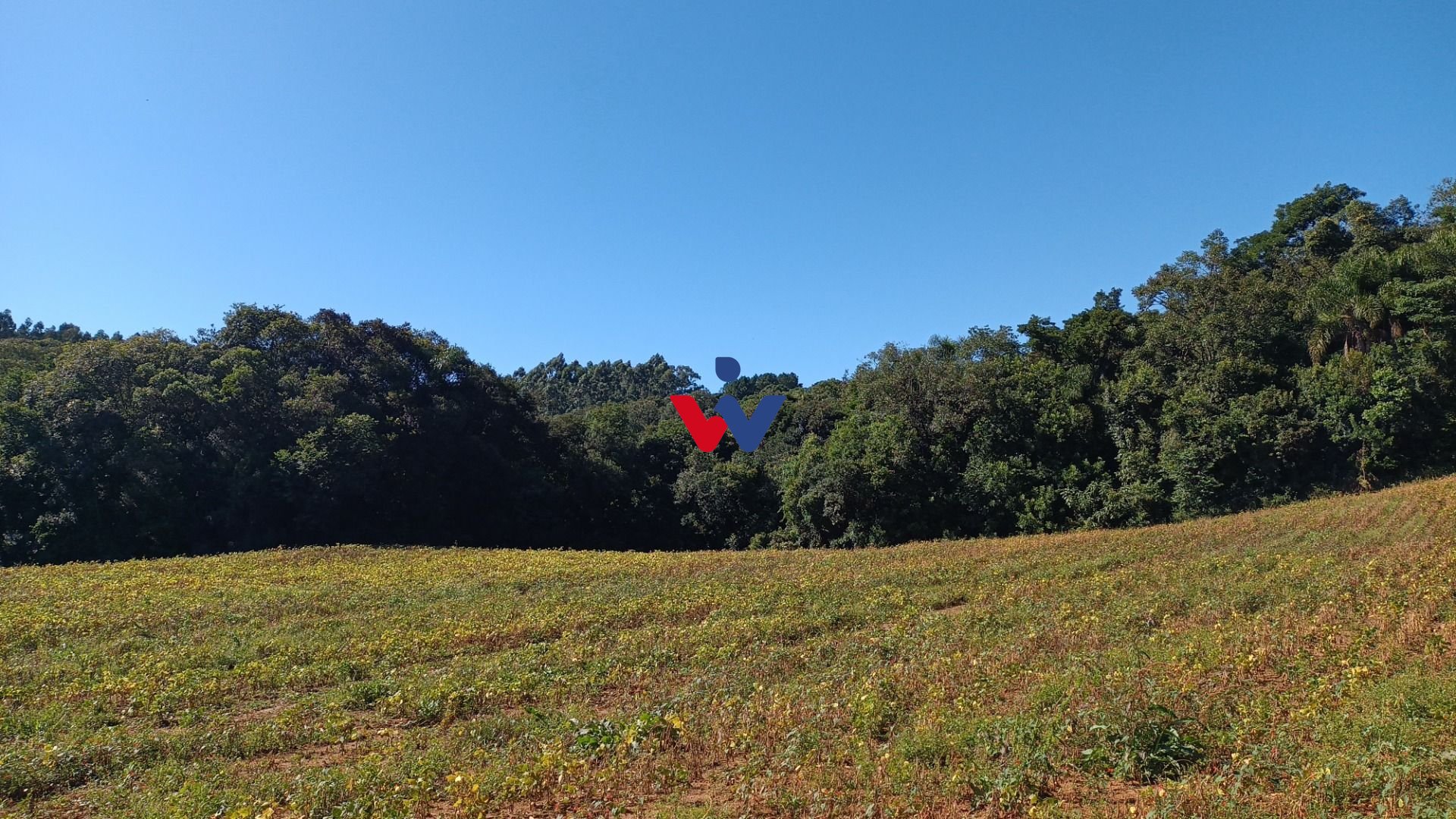 Chácara à venda, 23482 m  por R  500.000,00 - Zona Rural - Ara...