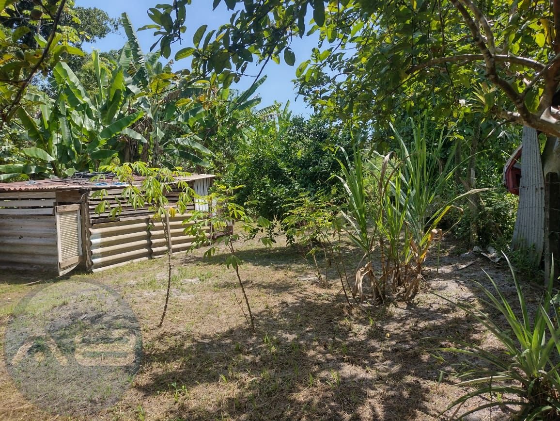 Chácara em Alexandra, Paranaguá, Casa, Tanques de Peixe e Alto...