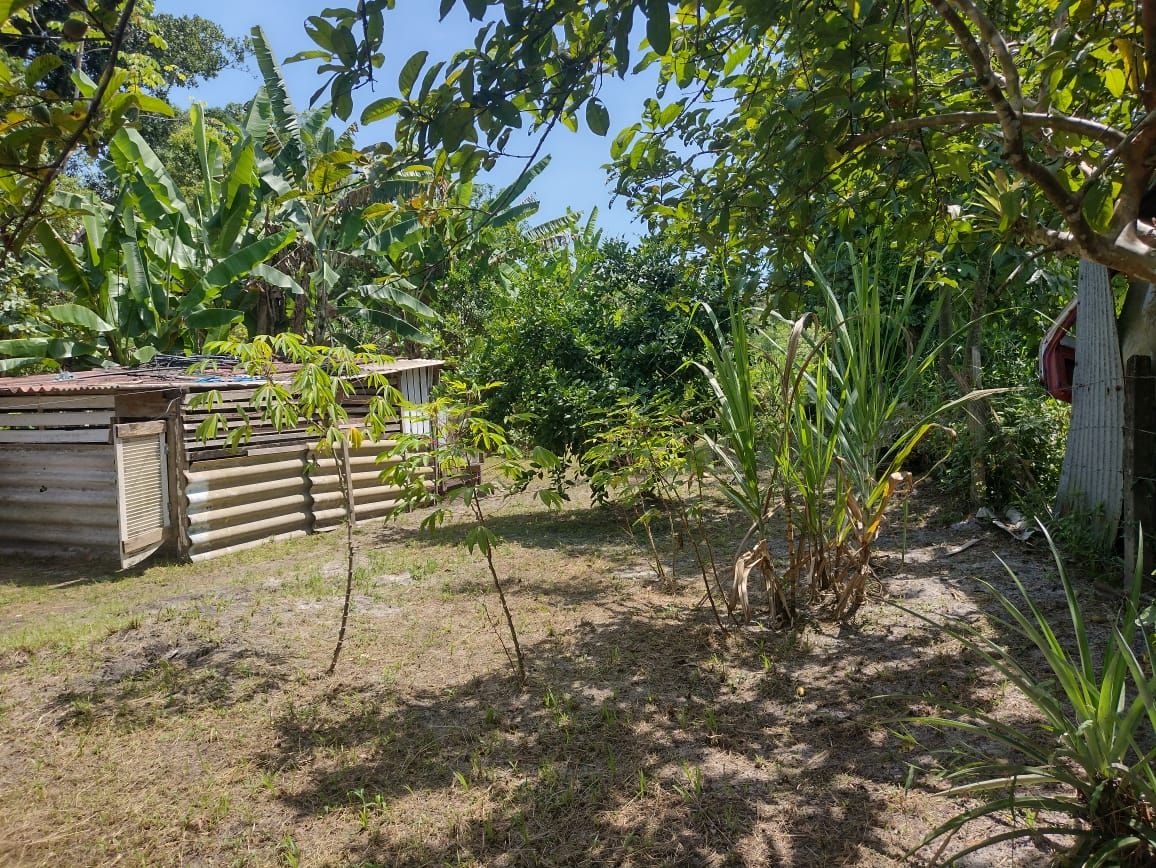 Chácara em Alexandra, Paranaguá, Casa, Tanques de Peixe e Alto...