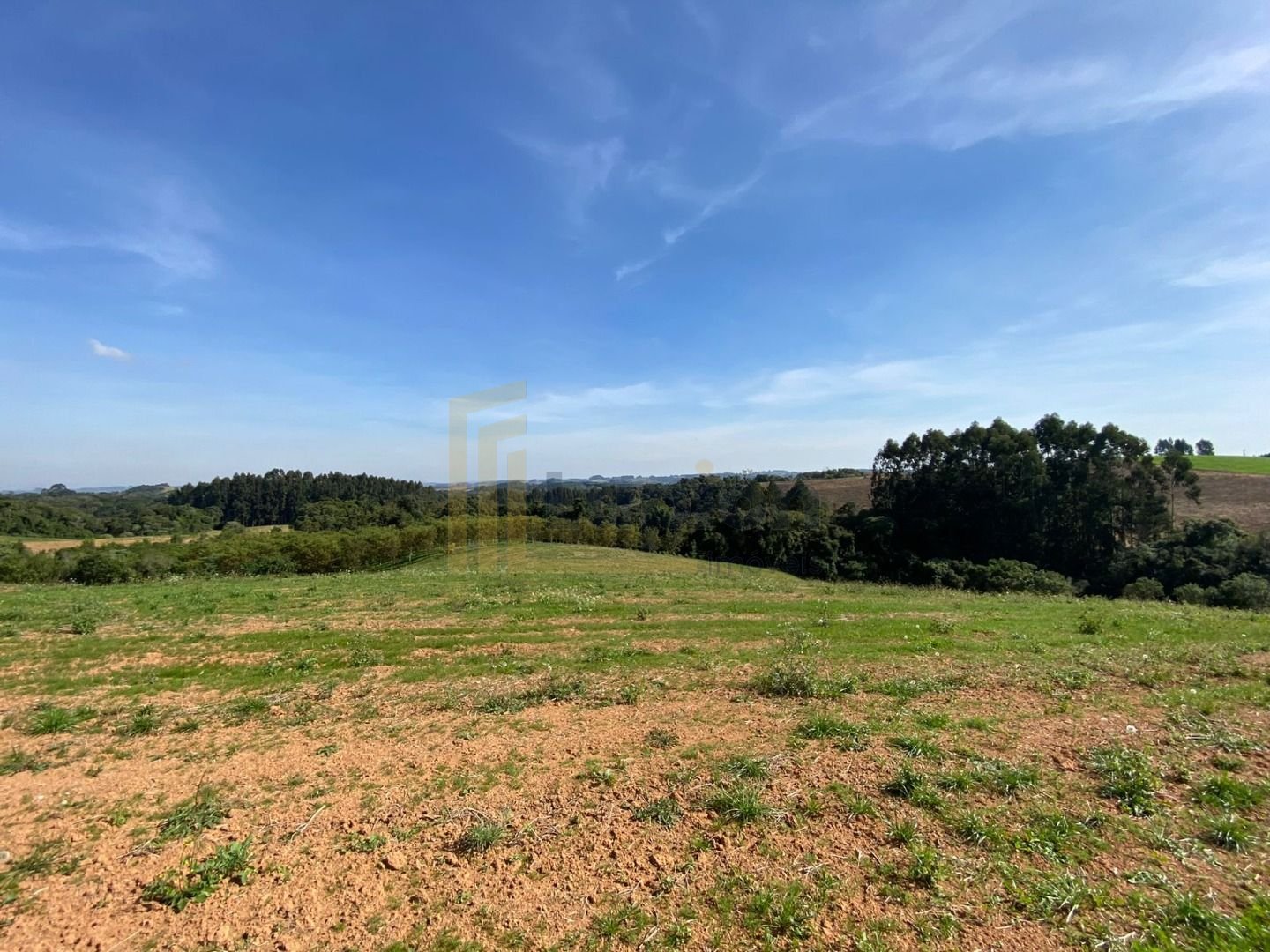 Propriedade Sustentável de 2 Alqueires com Noz Pecan, Araucári...