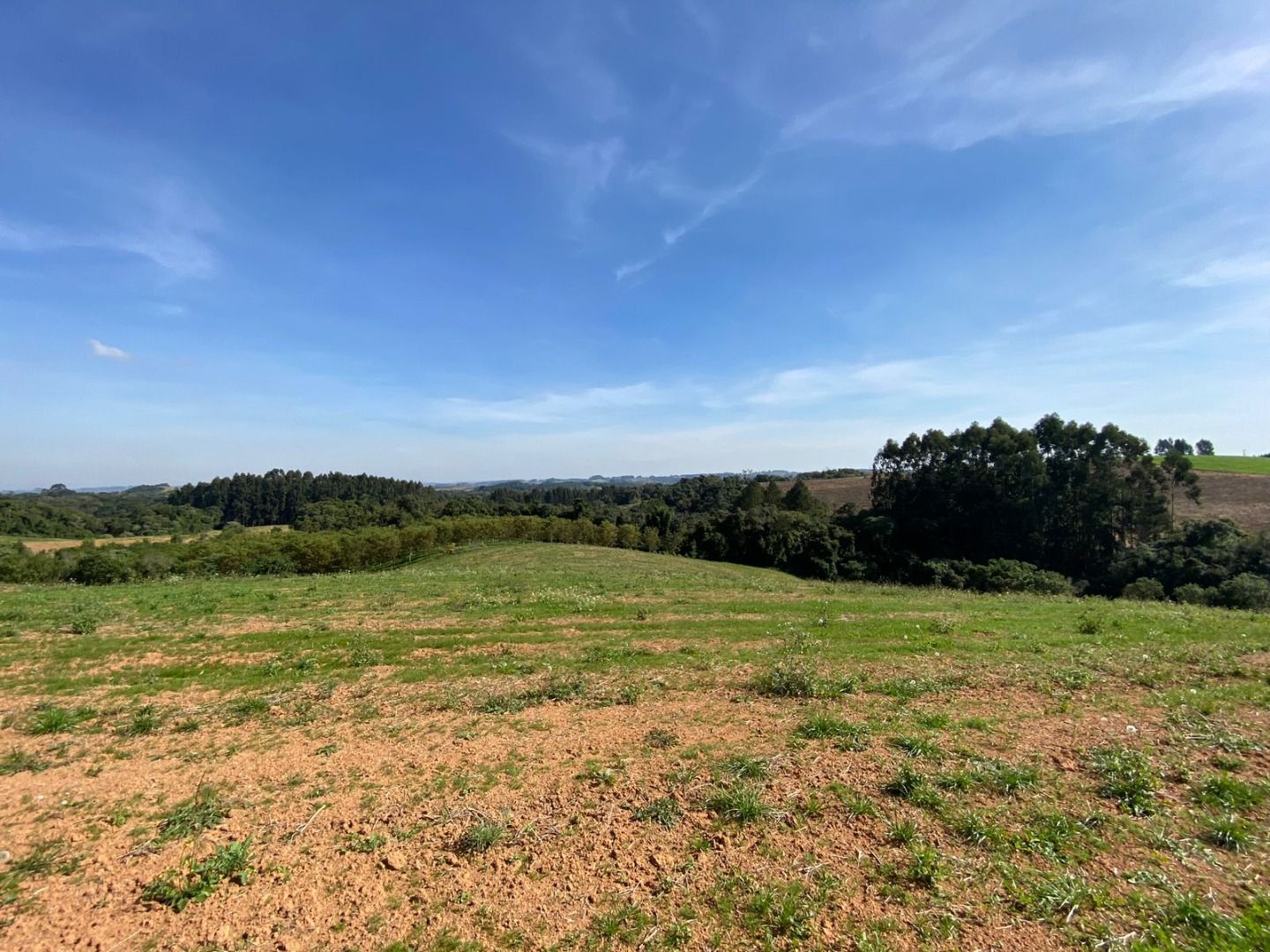 Propriedade Sustentável de 2 Alqueires com Noz Pecan, Araucári...