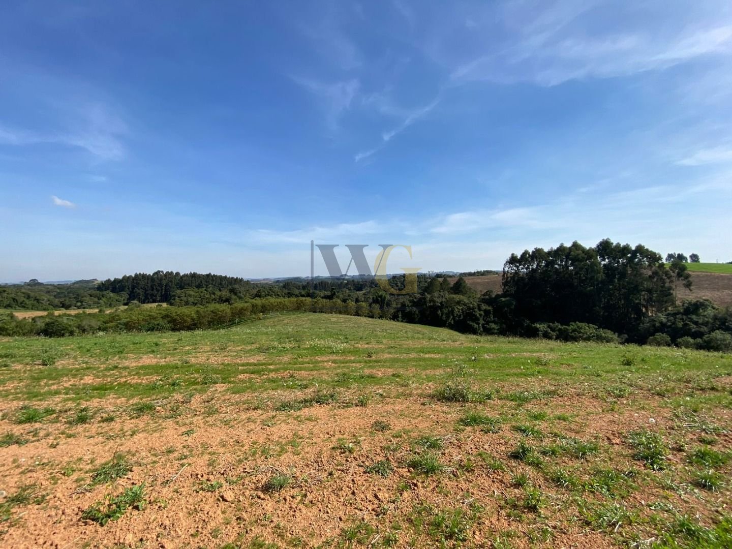 Propriedade Sustentável de 2 Alqueires com Noz Pecan, Araucári...