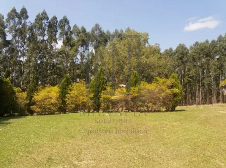 Fazenda com 3 dormitórios à venda, 1116000 m  por R  9.000.000...