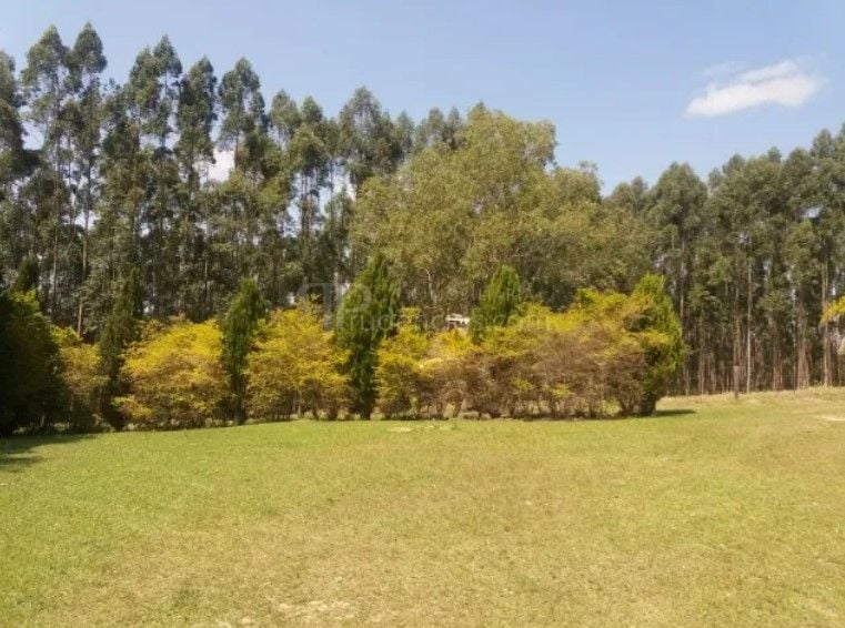 Fazenda Reflorestada de 111,6 Hectares em Arapoti PR  Investim...