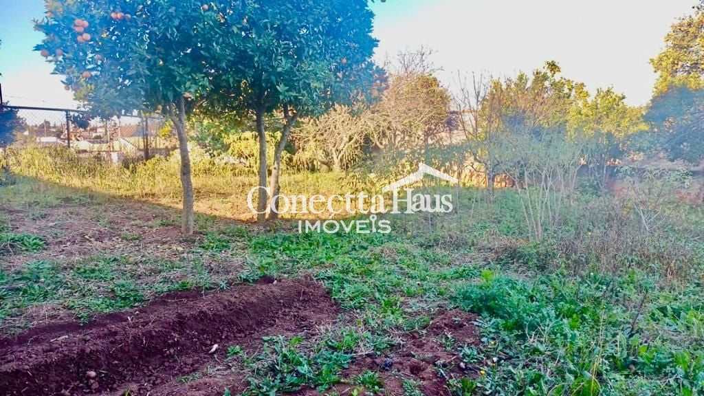 Terreno à venda, 365,49 m  por R  430.000,00 - Capela Velha - ...